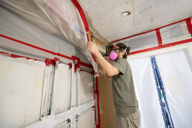 Best Attic Mold Removal  in Midway, NC