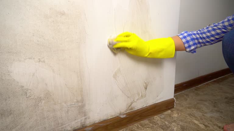 Best Mold Prevention Services  in Midway, NC